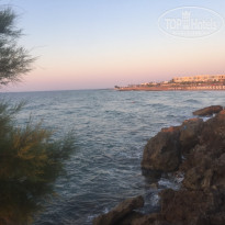 фото из отзыва ID 1971182