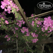 фото из отзыва ID 1971103