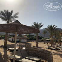 фото из отзыва ID 1971103