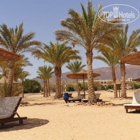 фото из отзыва ID 1971103