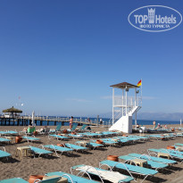 фото из отзыва ID 1971134