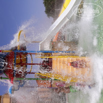 фото из отзыва ID 1971284