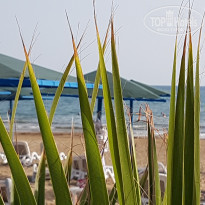 фото из отзыва ID 1971322