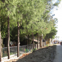 фото из отзыва ID 1971305