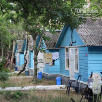 фото из отзыва ID 1971422