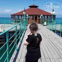 фото из отзыва ID 1971260