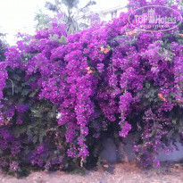 фото из отзыва ID 1971347
