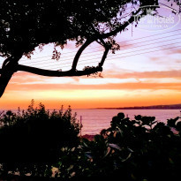 фото из отзыва ID 1971389