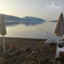 фото из отзыва ID 1971528