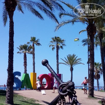 фото из отзыва ID 1971651