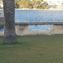 фото из отзыва ID 1971556