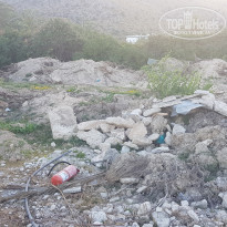 фото из отзыва ID 1971556