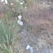 фото из отзыва ID 1971556