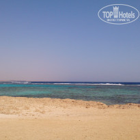 фото из отзыва ID 1971674