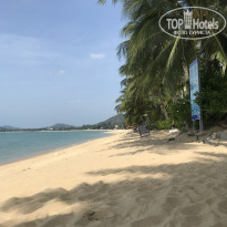 фото из отзыва ID 1971678