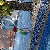 фото из отзыва ID 1971820