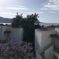 фото из отзыва ID 1971804