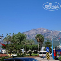 фото из отзыва ID 1971850