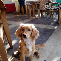 фото из отзыва ID 1971850