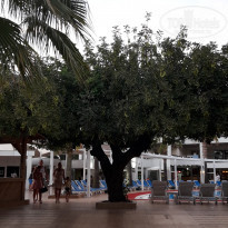 фото из отзыва ID 1971948