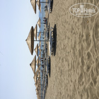 фото из отзыва ID 1971955