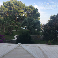 фото из отзыва ID 1971955