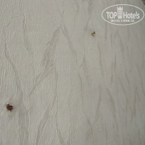 фото из отзыва ID 1972031