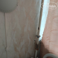 фото из отзыва ID 1972031