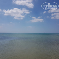 фото из отзыва ID 1972039