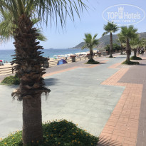 фото из отзыва ID 1971525