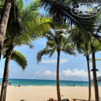 фото из отзыва ID 1972176