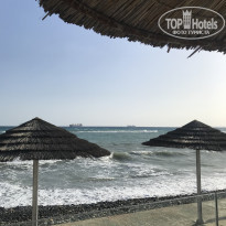 фото из отзыва ID 1972281