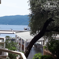 фото из отзыва ID 1972329