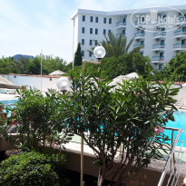 фото из отзыва ID 1972329