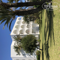 фото из отзыва ID 1972400