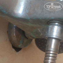 фото из отзыва ID 1972381