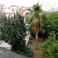 фото из отзыва ID 1972371