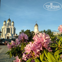 фото из отзыва ID 1972417