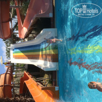 фото из отзыва ID 1972462