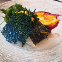 фото из отзыва ID 1972505