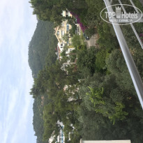 фото из отзыва ID 1972670