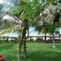 фото из отзыва ID 1972677