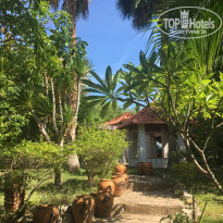 фото из отзыва ID 1972689