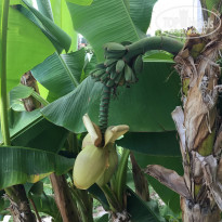 фото из отзыва ID 1972748