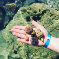 фото из отзыва ID 1972748