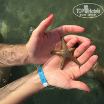 фото из отзыва ID 1972748