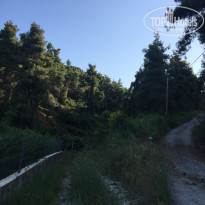 фото из отзыва ID 1972748