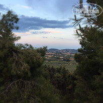 фото из отзыва ID 1972748