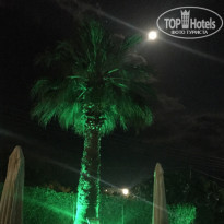 фото из отзыва ID 1972748