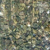 фото из отзыва ID 1972757